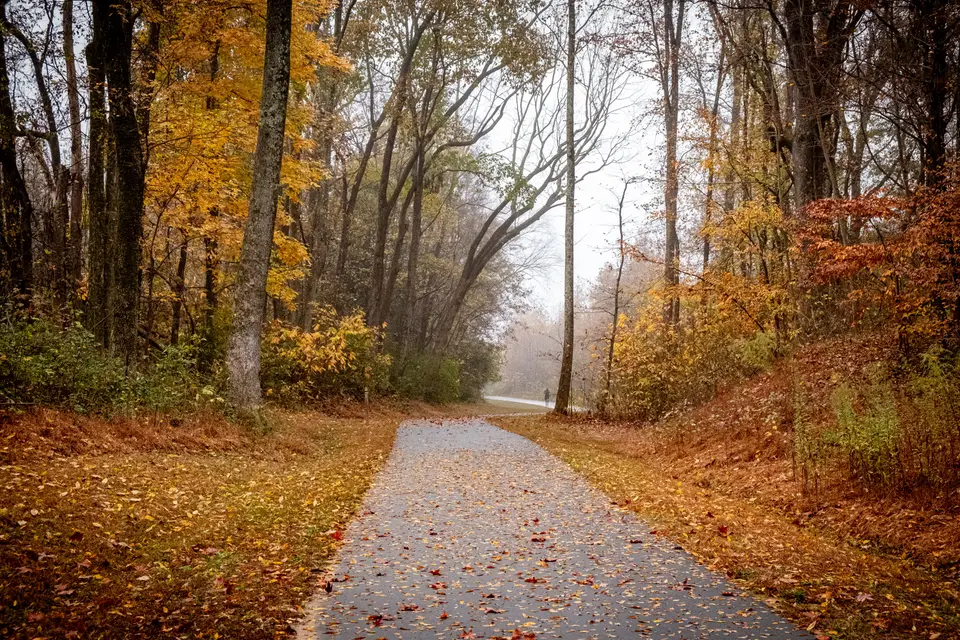 towing Brook Park